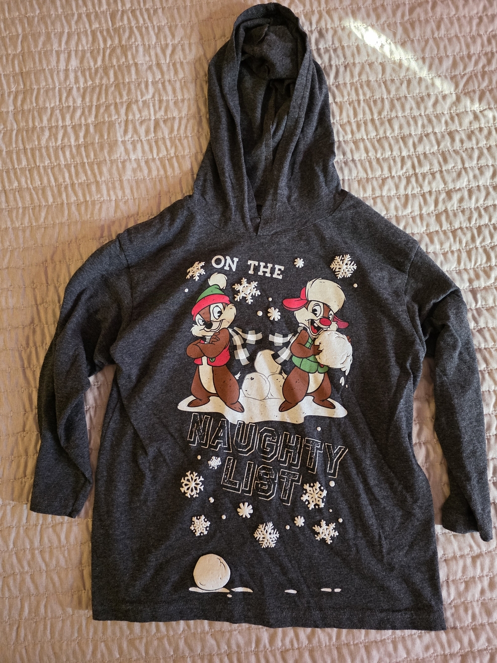 Disney Kids Dark Gray Hoodie with Chip & Dale Holiday Graphic